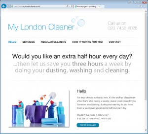 Websites for Cleaners