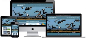 Mobile compatible website